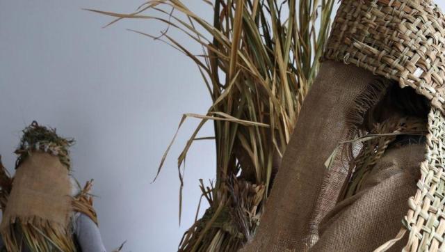 Image: photo – we see a sheaf of grass of some sort quite close to the camera, and it seems that it may have provided the material for two woven strips that we see towards top right and right in the photo; there seems to be more sheafery hidden behind burlap or equivalent, and farther away we may be seeing someone wearing this gear, along with some grass and stones, maybe, on their head; a grey wall behind • “^ is a collective based in Manorhamilton, Leitrim. Our five members are Tara Baoth Mooney, Shane Finan, James Kelly, Laura McMorrow, and Sonya Swarte. We collectively occupy an artist-led studio and experimental space in Manorhamilton, opened in September 2022. Over the past three years, we have led events in north Leitrim in response to environmental grief, care, and tending to the land.  For this exhibition-environment, we explore meadows, untrodden ground, and forgotten growth in north Leitrim. In these liminal spaces, a succession of plants create worlds upon worlds, each…”