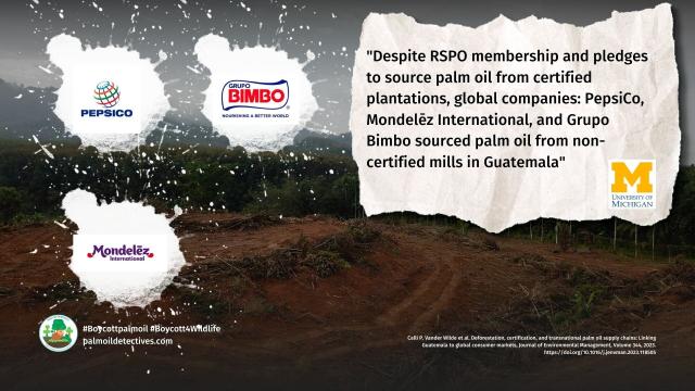 @UMich #research finds "sustainable" #RSPO #palmoil sourced in #Guatemala 🇬🇹 NOT sustainable, yet it is sold this way to consumers, despite links to #humanrights abuses 🧺🩸 #deforestation. Fight back! #Boycottpalmoil 🌴⛔️ #Boycottpalmoil @palmoildetect.bsky.social https://palmoildetectives.com/2023/07/26/palm-oil-deforestation-in-guatemala-certifying-products-as-sustainable-is-no-panacea-university-of-michigan/?utm_source=mastodon&utm_medium=Palm+Oil+Detectives&utm_campaign=publer 