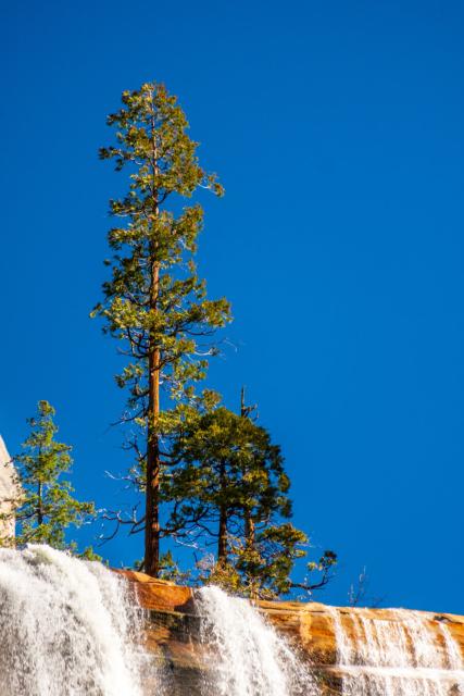 Two trees against blue sky, with a waterfall's flow in the lower bit of the frame. [Fuji X-T5 / Tamron 18-300]