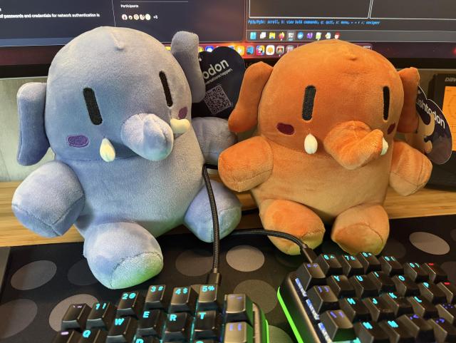 Two Mastodon plushies on a desk. Left is blue and right is orange-brown. Behind them a screen and in front a keyboard.