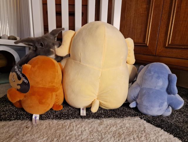 The mastodon plush toys from behind, in which you see their ample bum cheeks, while a grey rabbit sniffs one of their ears