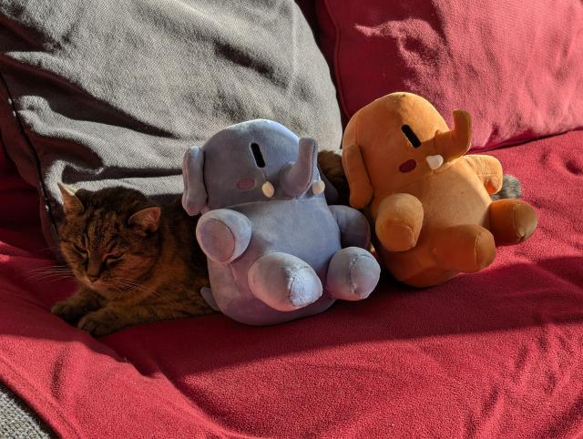 Same as photo 2, but the camera position moved to the left, so the cats face is visible. Now the plushtodons both face away from the cat while sitting leaned back on the side of the cat, as if she was a pillow used as a backrest