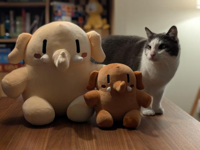 Photo of two Mastodon plushies, one big one and one smaller one with a cat looking at them behind them.