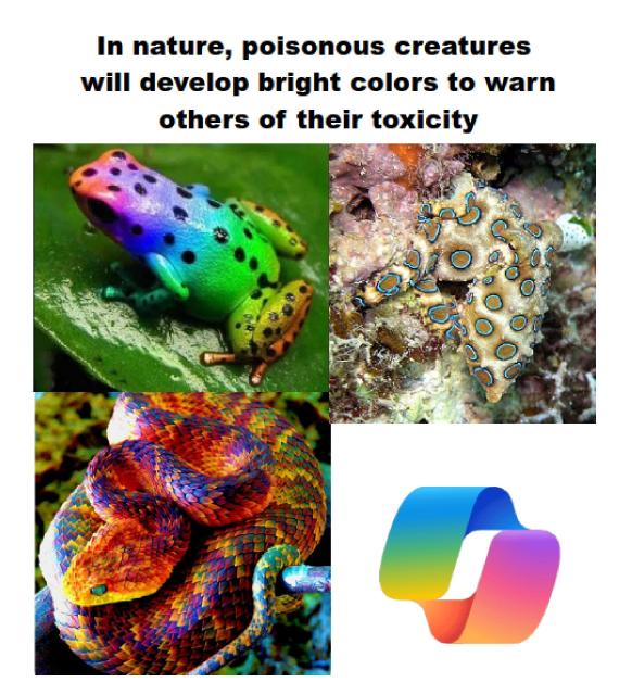 Title: “In nature, poisonous creatures will develop bright colours to warn others of their toxicity”.

Followed by four pictures.
A rainbow coloured spotted frog.
A blue ringed octopus.
A rainbow coloured snake.
The Microsoft Co-Pilot logo.