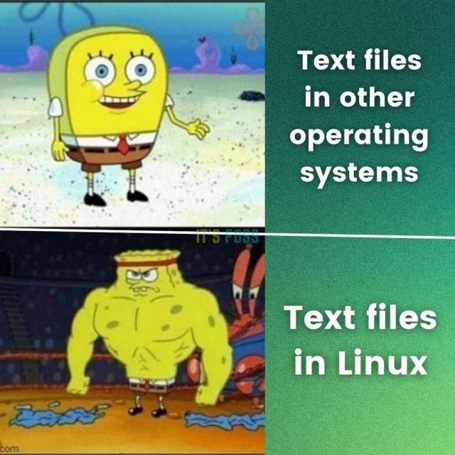 In the first slide, a meek-looking Spongebob is on the left; he is called "Text files in other operating systems."

In the second slide, there is a ripped/swole Spongebob; he is called "Text files in Linux."