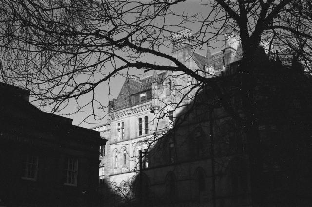 A tall and old building is half in shadow. In front of it is a naked tree covered in fairy lights.