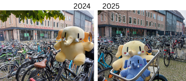 Collage of two photos.
Photo on the left from 2024 showing our yellow plushtodon in front of the University of Groningen Library. Lots of bikes in the background.
Photo on the right from 2025 showing our yellow plushtodon and the new plushie in interoperability blue sitting in a bike basket in front of the University of Groningen Library. Lots of bikes (though less than in 2024) in the background.