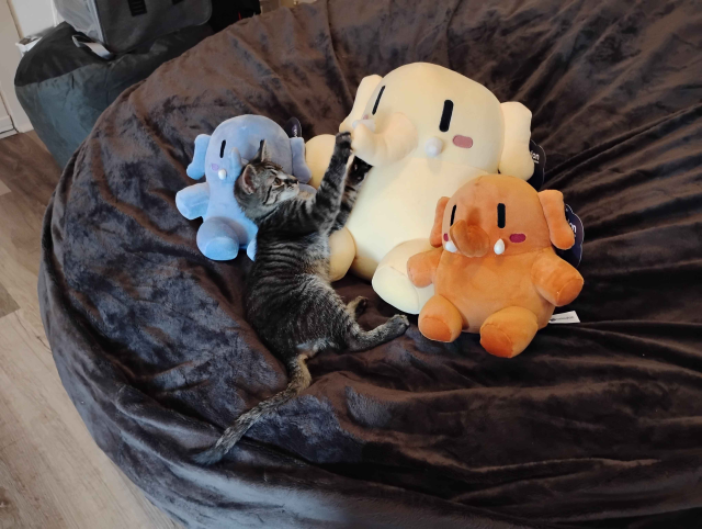 The entire Plushtodon family being attacked by the fierce Totoro [kitten]. Totoro is attacking the big Plushtodon's nose.