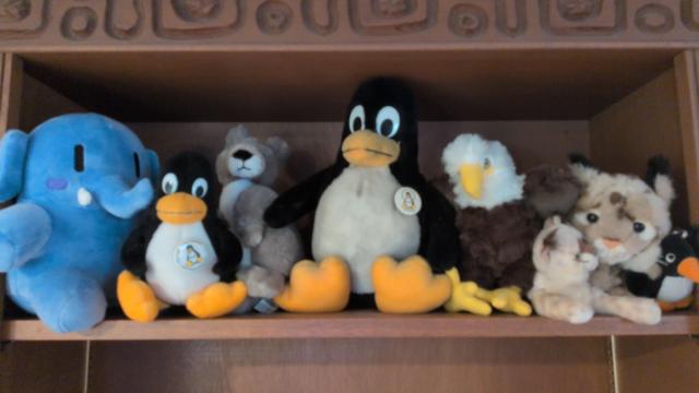 display shelf filled with plushies, left to right: Mastodon Plushtodon (just arrived); little Linux Tux penguin; kangaroo (from my visit to Port Campbell National Park, Victoria, Australia in Feb 2025; big Linux Tux penguin; bald eagle (from my visit to Fort Stevens State Park near Astoria, Oregon in Dec 2024), small and big XCOR Lynx (mascot of XCOR Aerospace's Lynx winged suborbital spaceship which was not completed before XCOR went out of business in 2016); tiny Linux Tux penguin