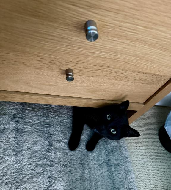 Black cat, mostly under a bedside table, front paws and head poking out, staring at the camera.