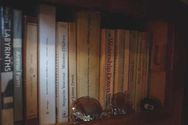 My little bookshelf of paperbacks