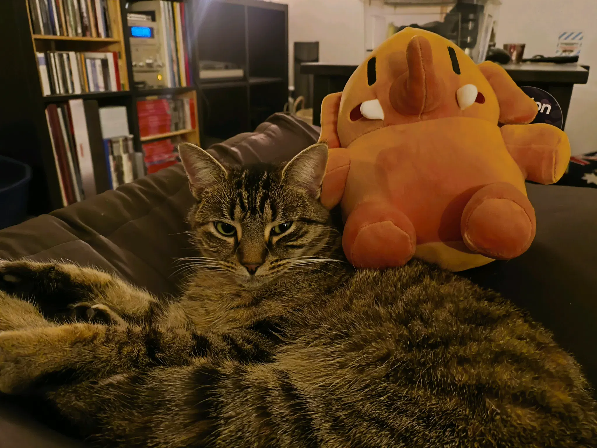 mastodon plussie and tofu 