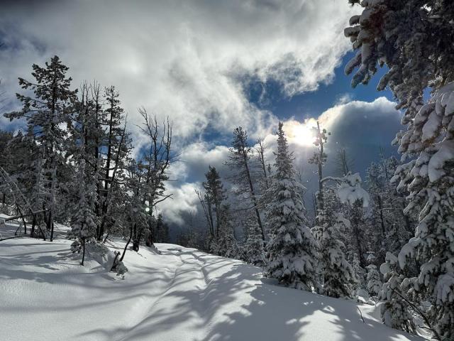 Sun shines from behind fluffy grey and white clouds, casting dark shadows of snow covered trees on newly fallen snow