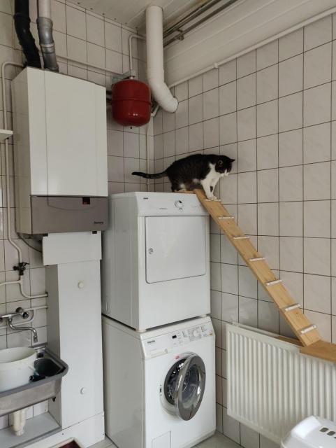 Little ramp going from the top of the dryer halfway to the ground, with a laundry basket next to it for the final jump