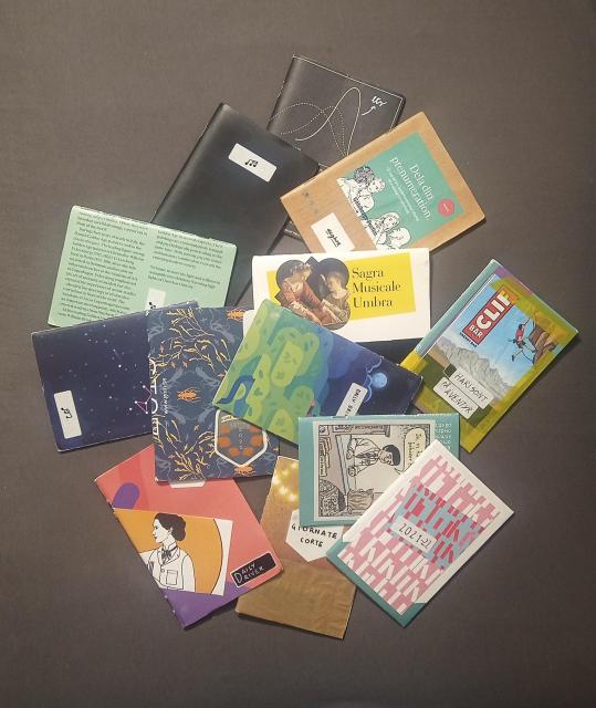 A bunch of little handmade notebooks with very random cover designs.