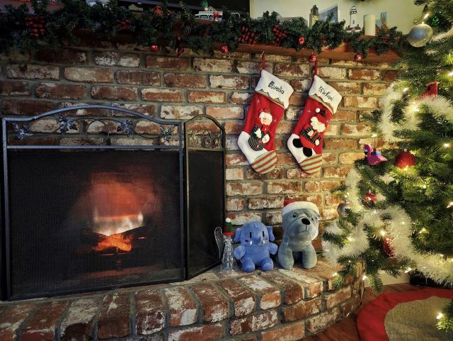 A Blue Plushtodon sitting next to a Stuffed Bulldog, a Fireplace, and a Christmas Tree, Underneath a Pair of Stocking that are Inscribed Evelia and Michael

December 9, 2025