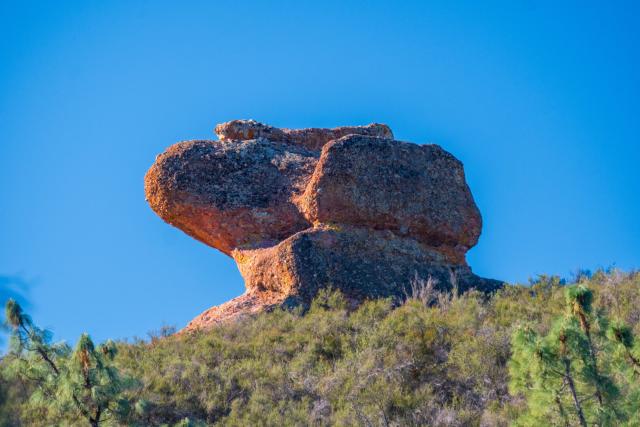 A large rock sits behind a treeline, illuminated by the sun. [Fuji X-T5 / Tamron 18-300]