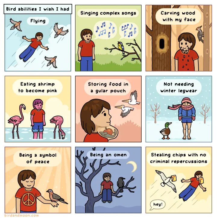 cartoon strip about birds