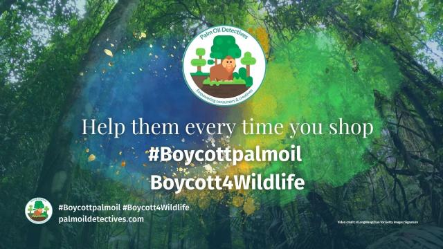 Numbers of African #Forest #Elephants 🐘🐘🐘 in #Nigeria have declined massively due to #palmoil #cocoa and #timber #deforestation, #poaching and farmers killing them for crop invasion. 😮😰Here’s how we protect them! #Boycott4Wildlife @palmoildetect https://wp.me/pcFhgU-8SD?utm_source=mastodon&utm_medium=Palm+Oil+Detectives&utm_campaign=publer

