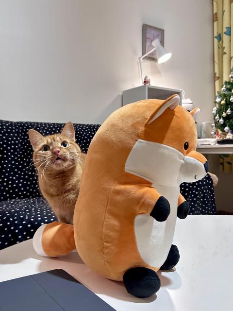 A curious orange cat peeks around a plush fox toy on a table. The background features a cozy room with a lamp, a shelf, and a small Christmas tree.