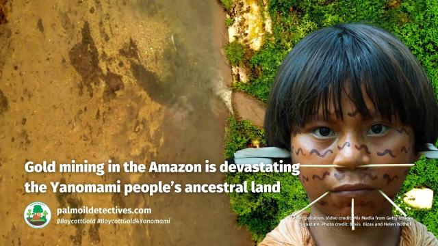 #Gold #mining kills #indigenous peoples 🩸 forcing women and children into sex #slavery! Help #Yanomami people forced violently from their #rainforest homes for the #greed of gold! 🪙⛔️ #BoycottGold #BoycottGold4Yanomami 🫶🌳@BarbaraNavarro @palmoildetect.bsky.social https://wp.me/pcFhgU-8uY?utm_source=mastodon&utm_medium=Palm+Oil+Detectives&utm_campaign=publer 