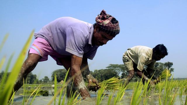 #News: Just 3% of #climate aid supports frontline #workers #indigenous communities. A new ActionAid report exposes shocking #corruption. Global South must be at the centre of climate justice! 🧐🚫 #HumanRights #WorkersRights  #ClimateChange @palmoildetect https://www.theguardian.com/environment/2025/nov/03/international-climate-aid-just-transition?utm_source=mastodon&utm_medium=Palm+Oil+Detectives&utm_campaign=publer
