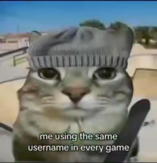 Other than that idk if mageia is independent or not, same with PCLOS, if i said something wrong and ur angry don't argue, just relax  by lookin at kitty