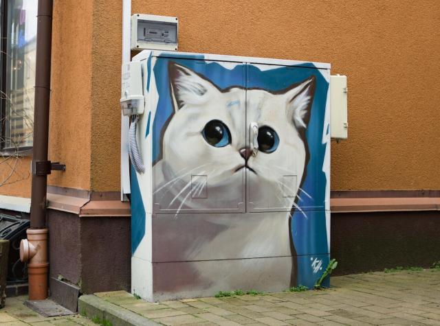 The image showcases a vibrant piece of street art, where the main subject is a painting of a cat on what appears to be an electrical box. The artist has captured a semi-realistic depiction of the feline with detailed white fur textures and expressive blue eyes that draw attention. Surrounding elements include urban infrastructure such as pipes and wires, which contrast against the whimsical nature of the artwork. This juxtaposition highlights how art can transform mundane objects into points of interest in cityscapes.