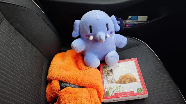 A blue grey mini plushtodon Mastodon mascot sitting in a car seat. in front of him is a big orange windscreen towel and a box of cards with a tabby cat and a golden puppy on the lid.