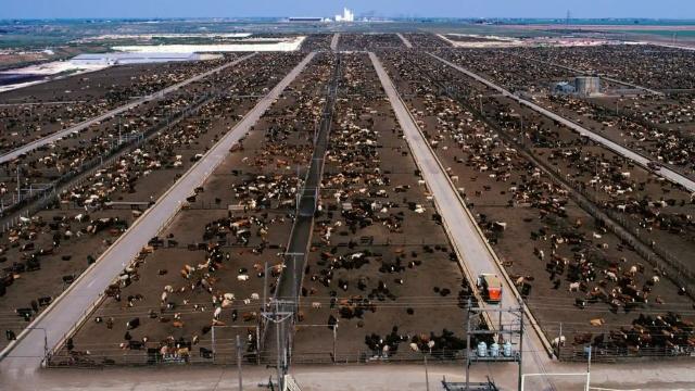 What is a #tippingpoint, and why should we care? #Ecosystems are subject to disturbances and major shifts. #Pesticide run off from #palmoil pollutes local rivers, depleting the oxygen fish need to survive #BoycottPalmOil #Boycott4Wildlife 🌴🪔🔥🧐⛔️ https://palmoildetectives.com/2021/04/07/explainer-what-is-a-tipping-point-and-why-should-i-care/?utm_source=mastodon&utm_medium=Palm+Oil+Detectives&utm_campaign=publer 