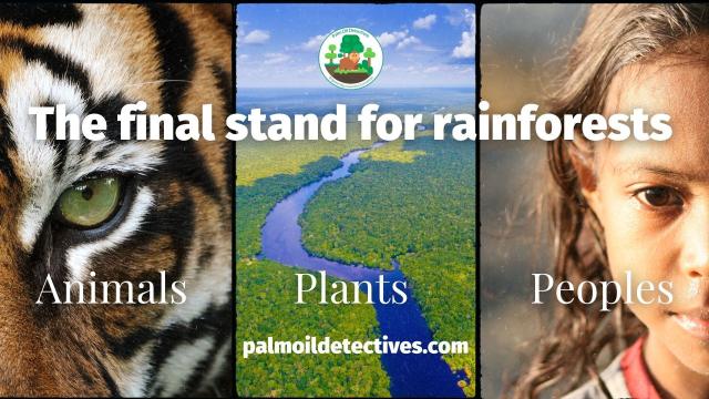 What happens if we cut down the whole #Amazon rainforest? Mass death for #climate #animals #plants and people. Doing so is akin to severing our own arteries. Take action! Go #vegan 🥦🥕 and #BoycottPalmOil 🌴🚫 #BoycottGold 🥇🚫 #Boycott4Wildlife https://palmoildetectives.com/2021/06/23/climate-explained-what-would-happen-if-we-cut-down-the-amazon-rainforest/?utm_source=mastodon&utm_medium=Palm+Oil+Detectives&utm_campaign=publer 