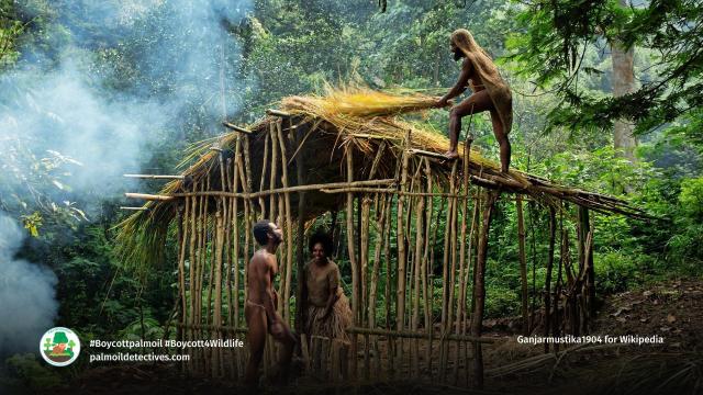 🌏 #News: In #WestPapua, “empty lands” are NOT empty—they sustain countless #indigenous #Malind and #Khimaima people for millennia. Large-scale #palmoil projects destroy livelihoods. Support #HumanRights #IndigenousRights and #BoycottPalmOil 🌴🪔🧐⛔️  https://wp.me/pcFhgU-a5N?utm_source=mastodon&utm_medium=Palm+Oil+Detectives&utm_campaign=publer  