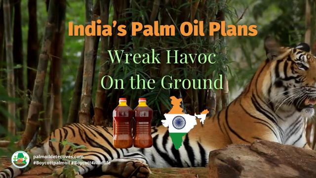 In lush North East #India 🇮🇳🪷 a battle is being waged, between sowing native seeds versus industrial #palmoil #monoculture 🌴🔥 threatens rare #ecosystems #animals and an ancient way of life. #ecology #Boycottpalmoil #Boycott4Wildlife @palmoildetect.bsky.social https://palmoildetectives.com/2024/10/06/indias-palm-oil-plans-wreak-havoc-on-the-ground/?utm_source=mastodon&utm_medium=Palm+Oil+Detectives&utm_campaign=publer 
