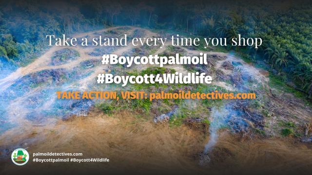 In lush North East #India 🇮🇳🪷 a battle is being waged, between sowing native seeds versus industrial #palmoil #monoculture 🌴🔥 threatens rare #ecosystems #animals and an ancient way of life. #ecology #Boycottpalmoil #Boycott4Wildlife @palmoildetect.bsky.social https://palmoildetectives.com/2024/10/06/indias-palm-oil-plans-wreak-havoc-on-the-ground/?utm_source=mastodon&utm_medium=Palm+Oil+Detectives&utm_campaign=publer 