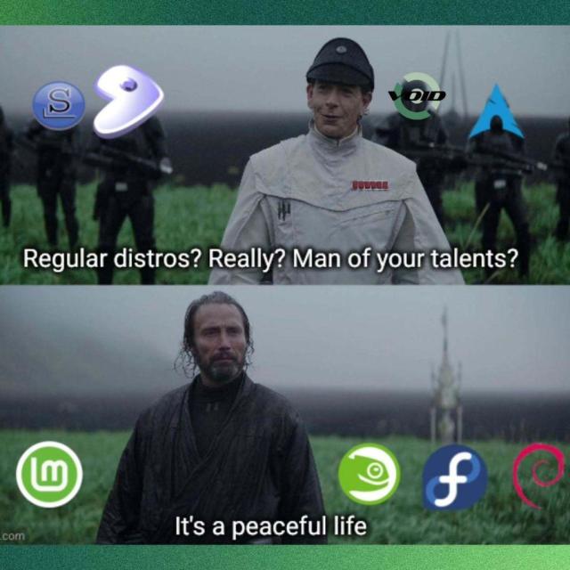 Slide 1:

Regular distros? Really? Man of your talents?

There is a picture of a man in white asking the question with four people behind him with the logos for Slackware, Gentoo, Void Linux, and Arch Linux on their faces.

Slide 2:

It's a peaceful life

There is a picture of a stoic-looking man with the logos for Linux Mint, openSUSE, Fedora, and Debian beside him.