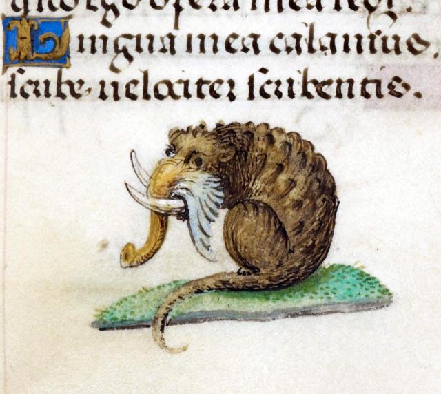 Elephant rat. ‘Hours of Joanna the Mad’, Bruges 1486-1506. BL, Add 18852, fol. 203r.
#medieval #MedievalArt
