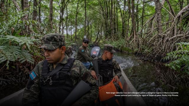 💀 Park rangers in #Honduras 🇭🇳 #SouthAmerica risk their lives every day to protect animals 🐒 #indigenous peoples and #rainforests from #palmoil plantations. Their fight is real. Resist when u shop! 💪 #BoycottPalmOil #Boycott4Wildlife @palmoildetect https://wp.me/pcFhgU-8YV?utm_source=mastodon&utm_medium=Palm+Oil+Detectives&utm_campaign=publer

