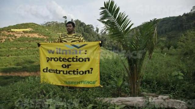 Global #deforestation 🌳🔥has increased for #palmoil 🌴🪔 #soy and #nickel finds new report. Meanwhile industry lobbyists have delayed EU #EUDR #CSDDD ban 👎 To save forests now we need strong laws! #Boycottpalmoil #Boycott4Wildlife @palmoildetect https://wp.me/pcFhgU-8Ze?utm_source=mastodon&utm_medium=Palm+Oil+Detectives&utm_campaign=publer 