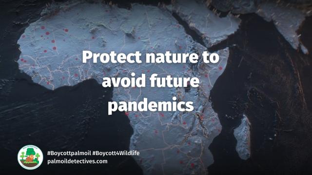 @UQ_News research published in @TheLancetPlanet finds that #pandemics are linked to #ecosystem and #biodiversity declines, with viruses jumping from animals to humans. Urgent #publichealth and #conservation policies needed #Boycott4Wildlife @palmoildetect https://wp.me/pcFhgU-77u?utm_source=mastodon&utm_medium=Palm+Oil+Detectives&utm_campaign=publer 