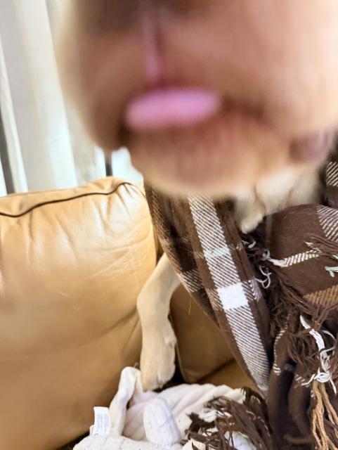 We don't know how this got included, but slay queen.