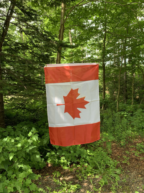A Canadian flag is suspended sideways from a string or rope. It is hanging in a wooded area.