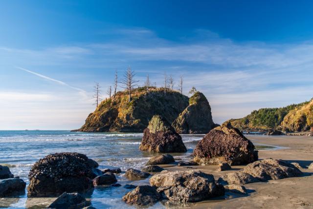 Mussel-clad rocks stand on a beach in front of a small island. [Fuji X-T5 / Fuji 35 1.4]