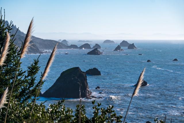 Behind grasses, a coastal view with rocks in the sea. [Fuji X-T5 / Tamron 18-300]