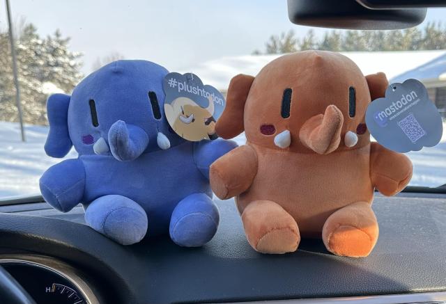 Two plushie mastodons from https://shop.joinmastodon.org
They are sitting on the dashboard touching the windshield of my parked vehicle. In the background is a building and snow everywhere. The plushies are blue and peach. 