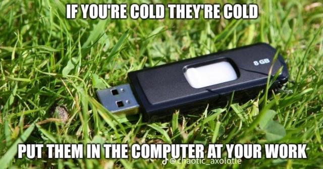 IF YOU'RE COLD THEY'RE COLD PUT THEM IN THE COMPUTER AT YOUR WORK

A thumb drive laying on the grass
