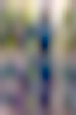 May be an image of bicycle and text