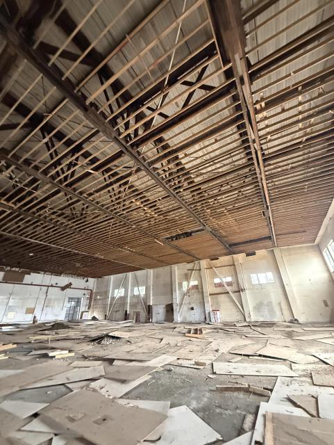 removing the floating plywood ceiling in the hangar building in ucluelet, starting to see some of the wooden truss structure above