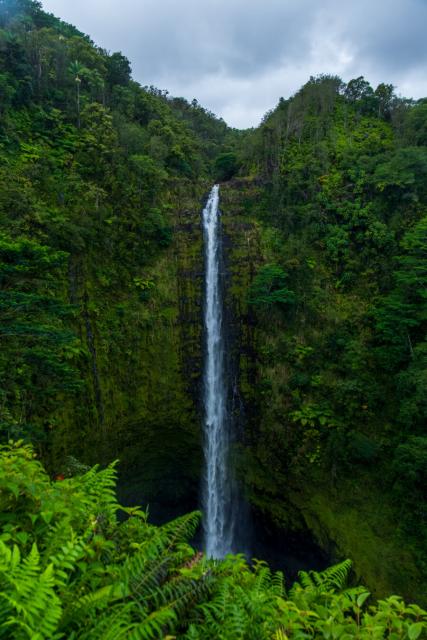 Amidst greenery, a waterfall pours down a cliff face. [Fuji X-T5 / Tamron 18-300]