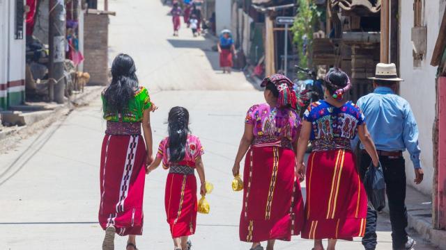 #News: UN calls for URGENT action on forced #landgrabbing in #Guatemala! 🇬🇹 Indigenous land defenders are being criminalised for protecting their homes from #palmoil and #mining giants. 🧐✊🌳 #HumanRights #BoycottPalmOil @palmoildetect https://ishr.ch/latest-updates/un-human-rights-mechanisms-urge-guatemala-to-end-forced-evictions-protect-land-rights-defenders/?utm_source=mastodon&utm_medium=Palm+Oil+Detectives&utm_campaign=publer
