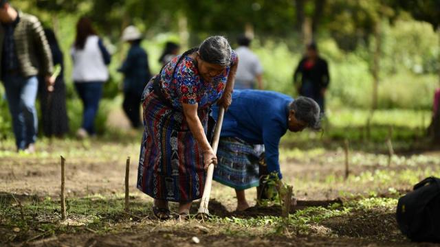 #News: UN calls for URGENT action on forced #landgrabbing in #Guatemala! 🇬🇹 Indigenous land defenders are being criminalised for protecting their homes from #palmoil and #mining giants. 🧐✊🌳 #HumanRights #BoycottPalmOil @palmoildetect https://ishr.ch/latest-updates/un-human-rights-mechanisms-urge-guatemala-to-end-forced-evictions-protect-land-rights-defenders/?utm_source=mastodon&utm_medium=Palm+Oil+Detectives&utm_campaign=publer
